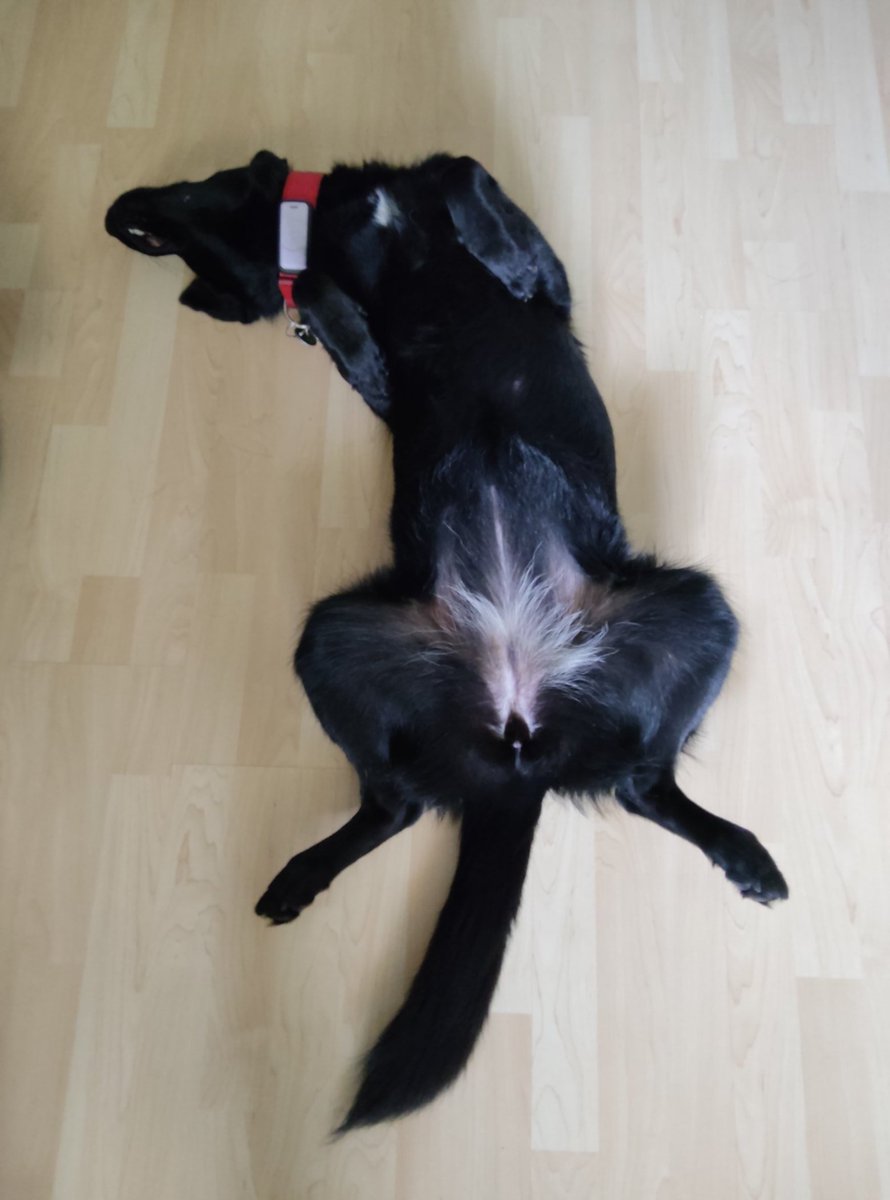 Mein Braten für den nächsten Sonntag!