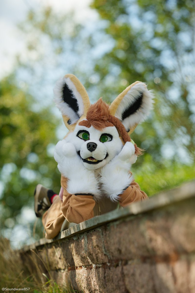 Soooo, i'm putting my feelers out.  

Who is interested in a Photoshoot at EF? 👀

- 45min 100€
- 20+ Edited high res pictures
- Time and date is flexible
- Extra friends are welcome

hmu here or via TG

Examples from other cons below