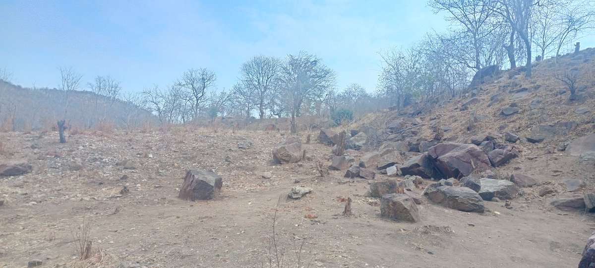 We prayed God to bless us with a church plot and he did answer our prayers. We are praying for God to provide fund's for the church building any one interested please contact me emmanuelkamwata3@gmail.com 
Tabernacle Baptist church.luangwa bridge Zambia.