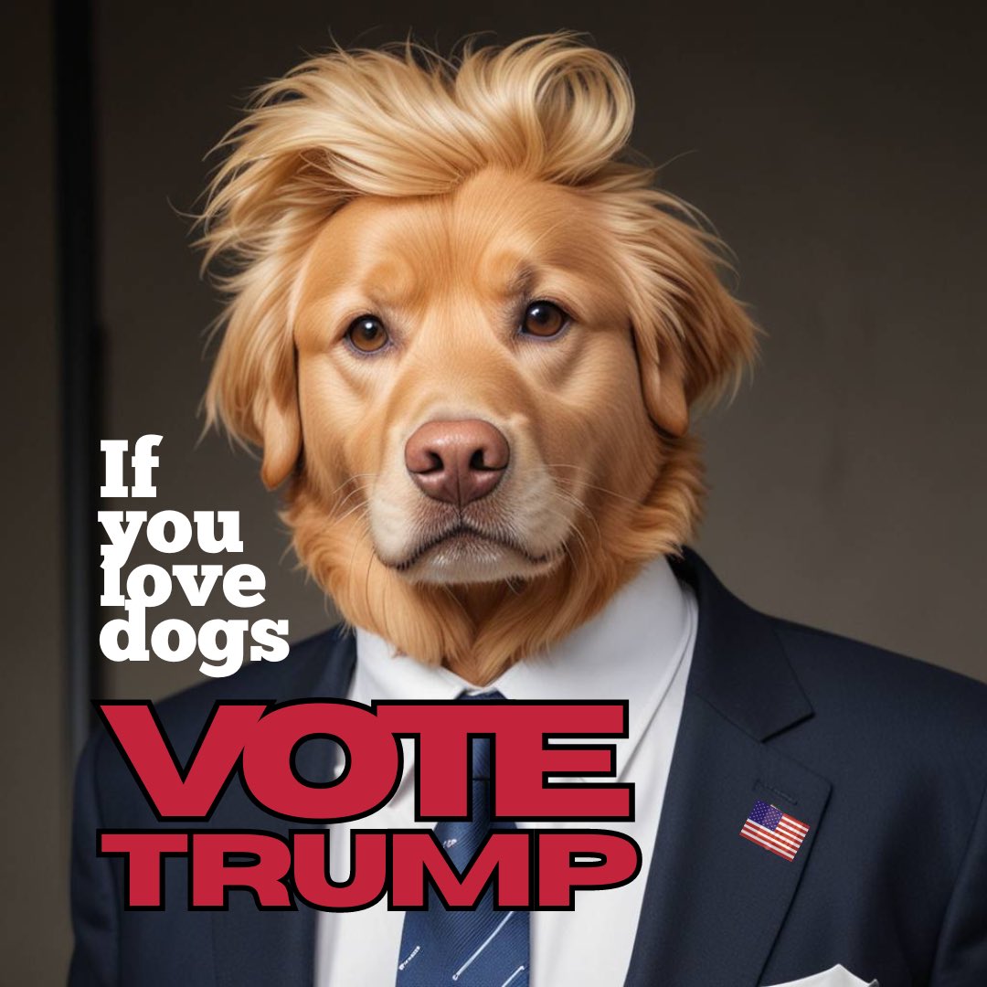 VOTE TRUMP !! FUCKING IDIOTs !