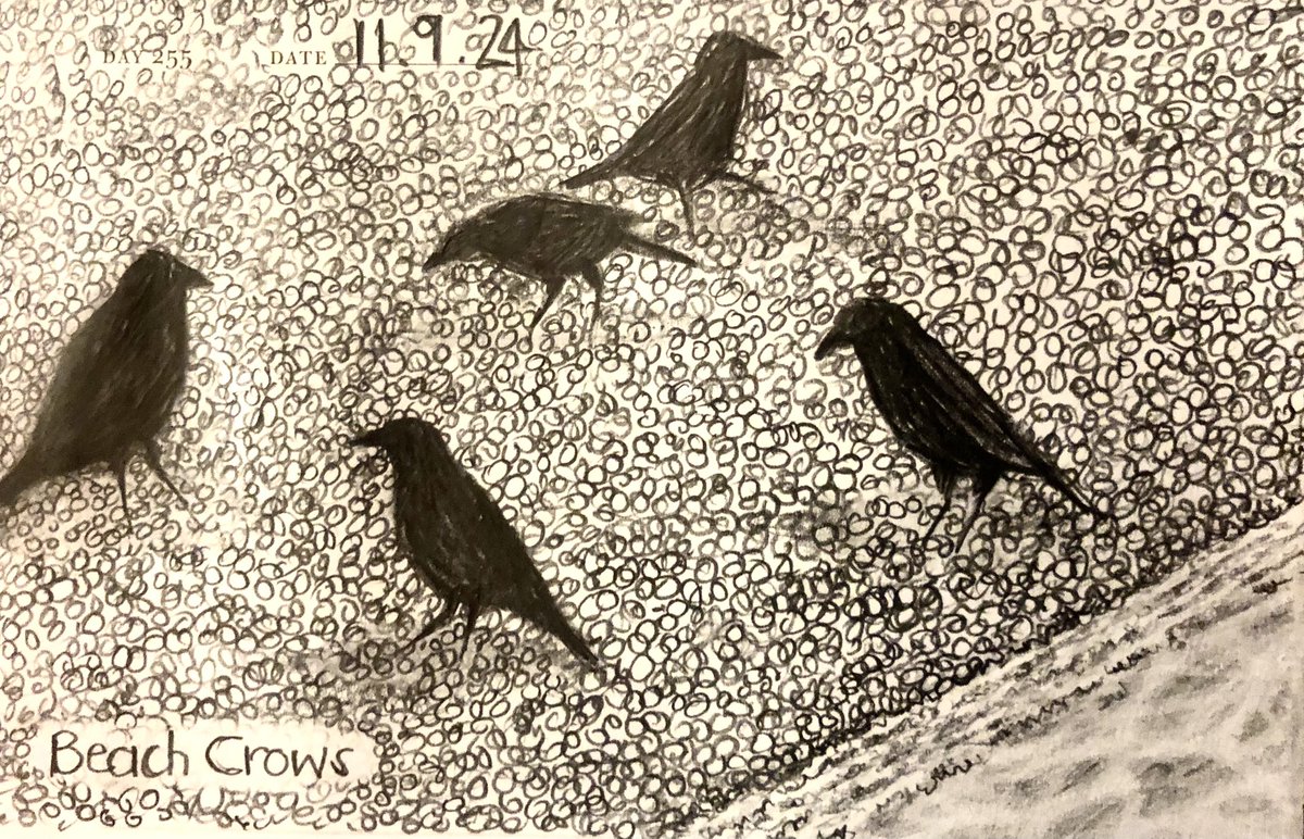Venster67's tweet photo. One Sketch A Day 11.9.24
‘Beach Crows’
#beachcrows #carrioncrows #corvids #birds #brightonbeach #nature #onesketchaday #sketchbook #visualdiary #art #illustration #pencilsketch https://t.co/0jBu52MGxW