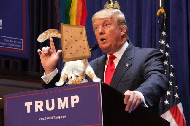 IRL on Solana tweet media