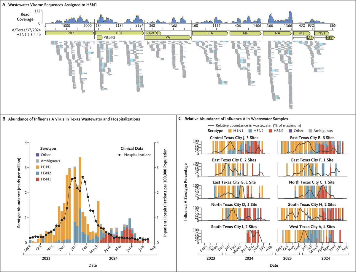 Mike Tisza (@miketisza) on Twitter photo We've been sequencing wastewater for 2.5 years. In 2024, H5N1 started showing up. Our findings are published in the New England Journal of Medicine.
Sequencing-Based Detection of Avian Influenza A(H5N1) Virus in Wastewater in Ten Cities
w/ <a href="/TEPHI_Texas/">Texas Epidemic Public Health Institute</a>
nejm.org/doi/full/10.10… We've been sequencing wastewater for 2.5 years. In 2024, H5N1 started showing up. Our findings are published in the New England Journal of Medicine.
Sequencing-Based Detection of Avian Influenza A(H5N1) Virus in Wastewater in Ten Cities
w/ <a href="/TEPHI_Texas/">Texas Epidemic Public Health Institute</a>
nejm.org/doi/full/10.10…