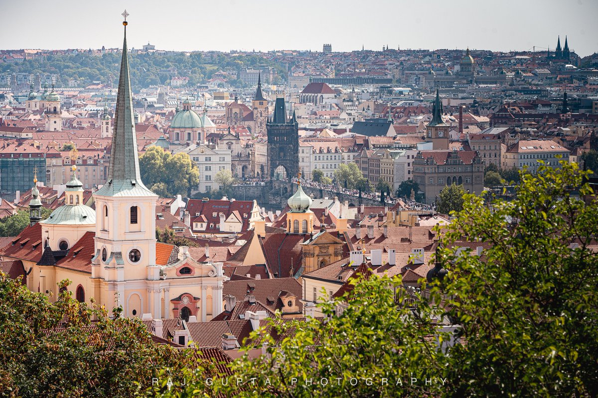 Raj Gupta, MD, FASRA tweet media