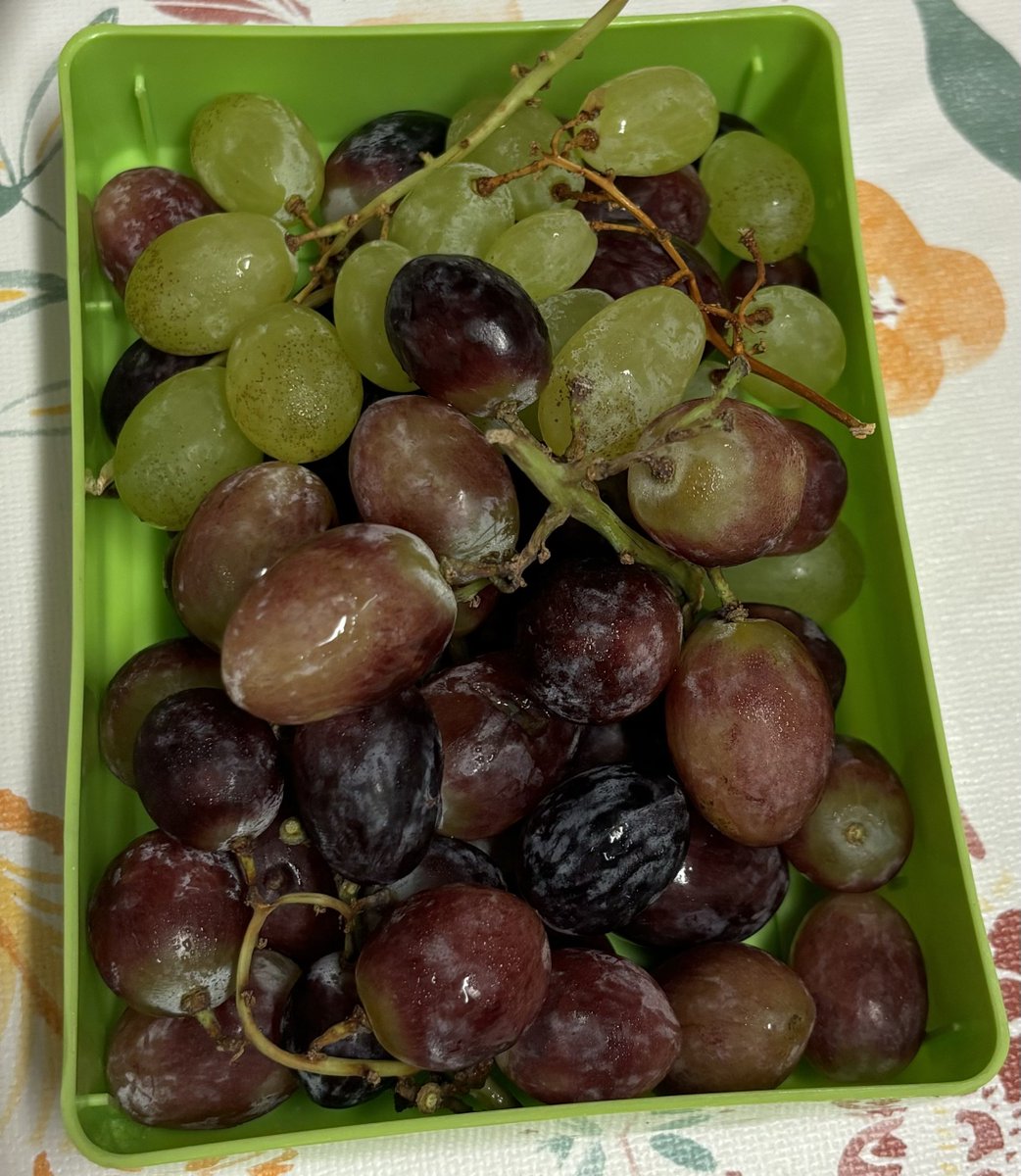 Uvas sem caroço! Invenção do demónio…..
