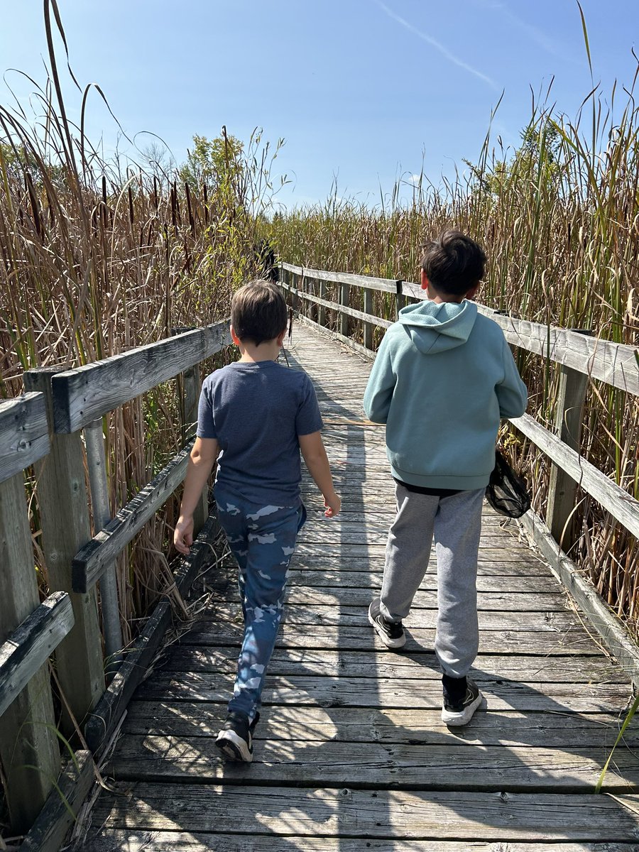 Msfinnsclass1's tweet image. The grade 5/6s @wazosonps had a great day building community (and shelters!) at Bill Mason Outdoor Education Centre. Every junior class will be attending these fun-filled field trips this week @OCDSBoec #SeptemberFun