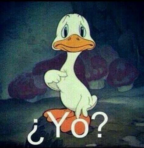 BATIZAGOSTINA's tweet image. a mi un dia se me pinchó la cubierta del auto y  no sabia ni donde estaba el gato. frenó un auto y baja una señora y me dice lo obligué a mi marido a parar porque a las gordas no las ayuda nadie!