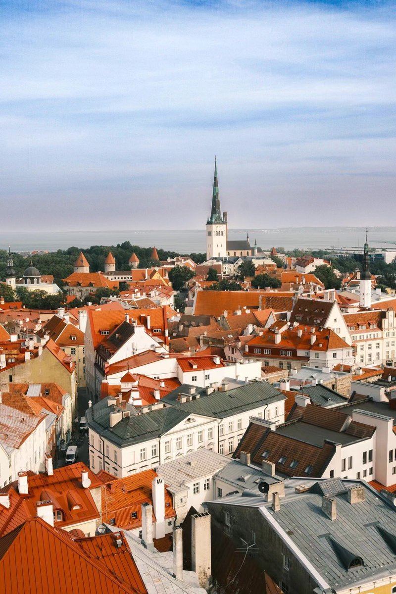 Leo乘风 tweet media