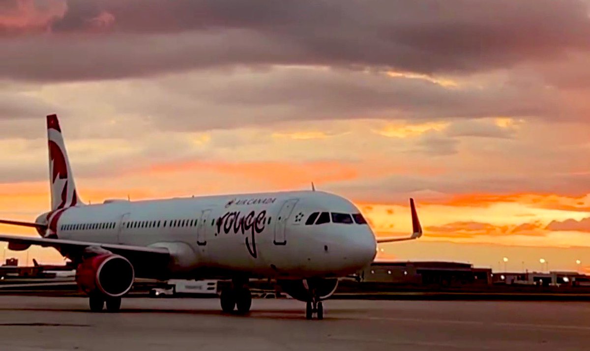 ImeldasArt1's tweet image. Last flight of #SummerVibes2024 #thursdaymorning