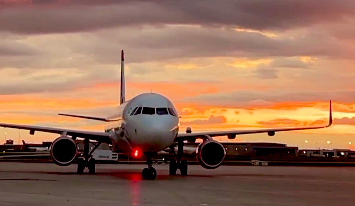 ImeldasArt1's tweet image. Last flight of #SummerVibes2024 #thursdaymorning