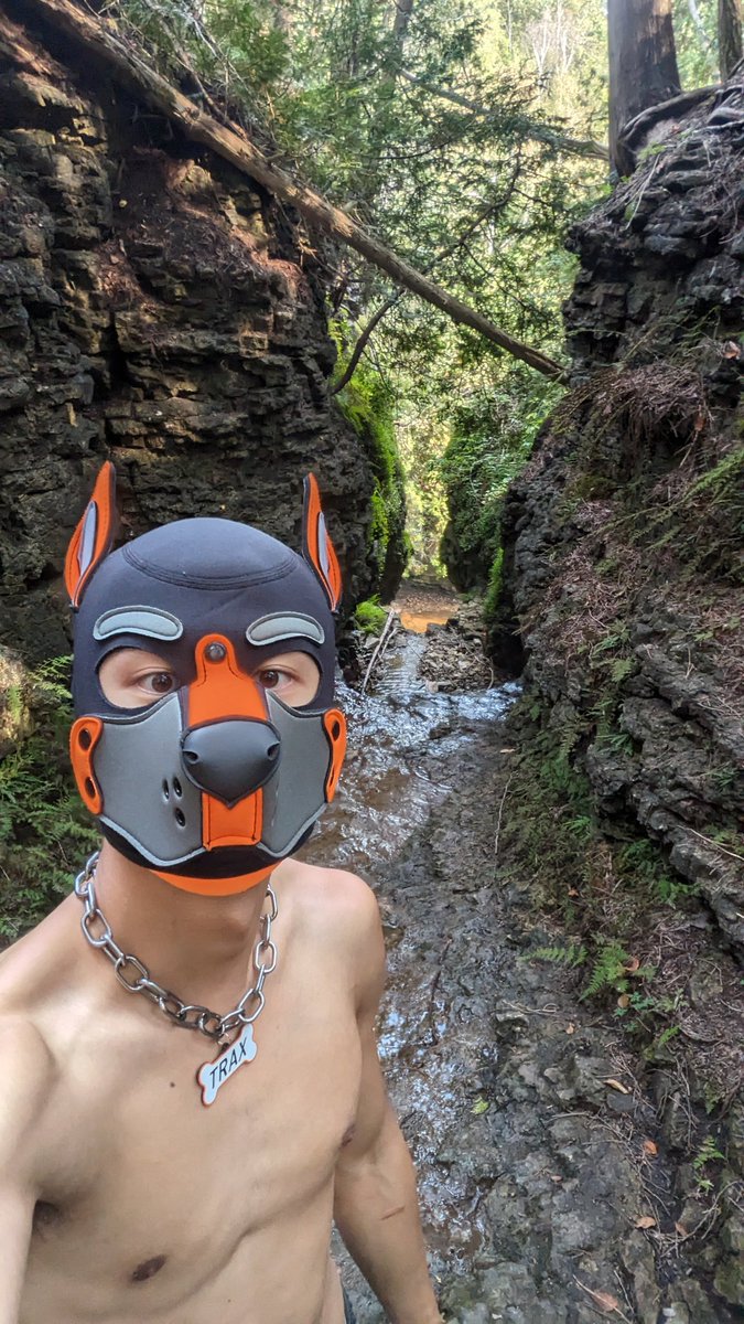 Puppy almost got wet