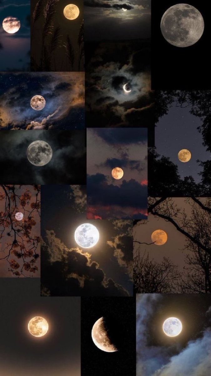 Moon lover