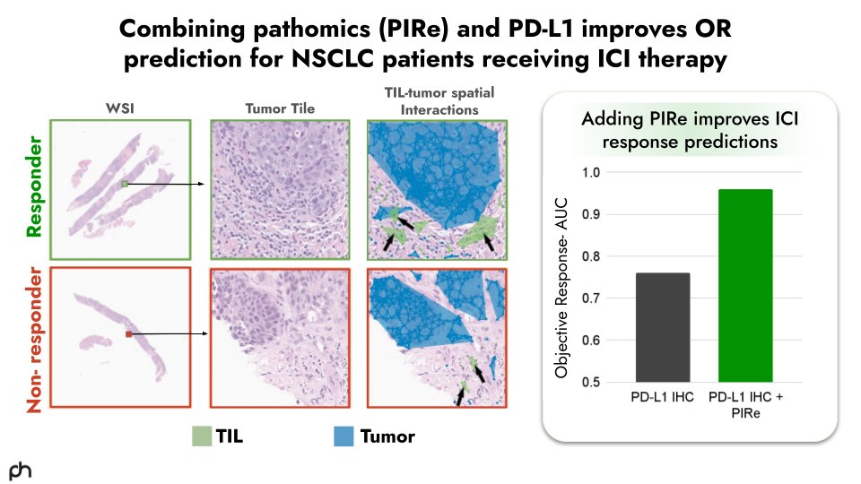 #Cancer is #multimodal and so are we! 

We'll be presenting our poster in advancing #immunotherapy response prediction for cancer patients via digital pathology at #ESMO24 on Sunday, September 15 in Hall 6: tinyurl.com/esmo24PH

Book a time with us: hubs.li/Q02PBhjj0
