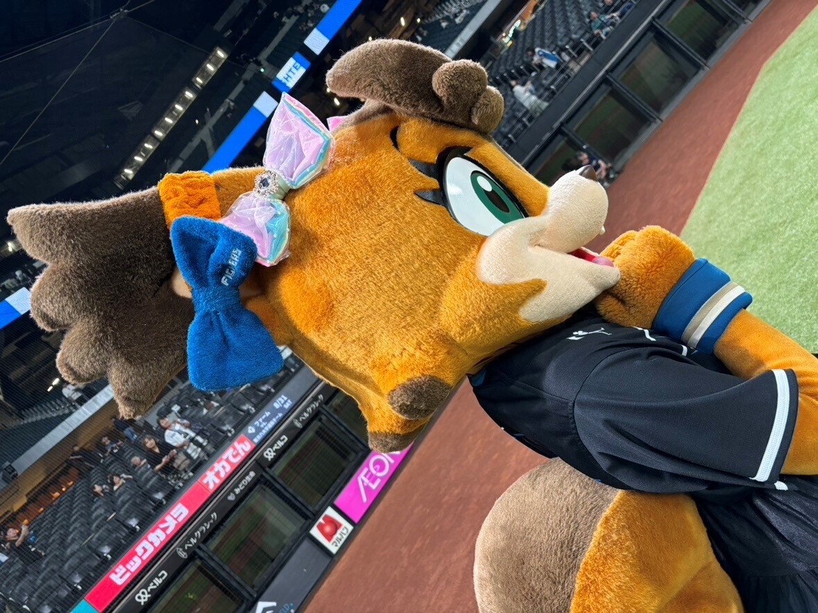 しゃけまるヘアバンド」 & 「ポリーポラリスヘアバンド」 好評販売中