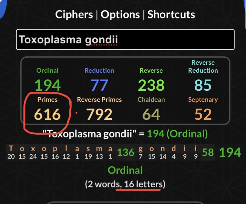 FionaMcmurdo's tweet photo. @elonmusk 616 - Primes
Toxoplasma gondii

https://t.co/9ywdxGof2s

617 - Primes
Oxyrhynchus 

+1 passenger https://t.co/ITzd28qwsi