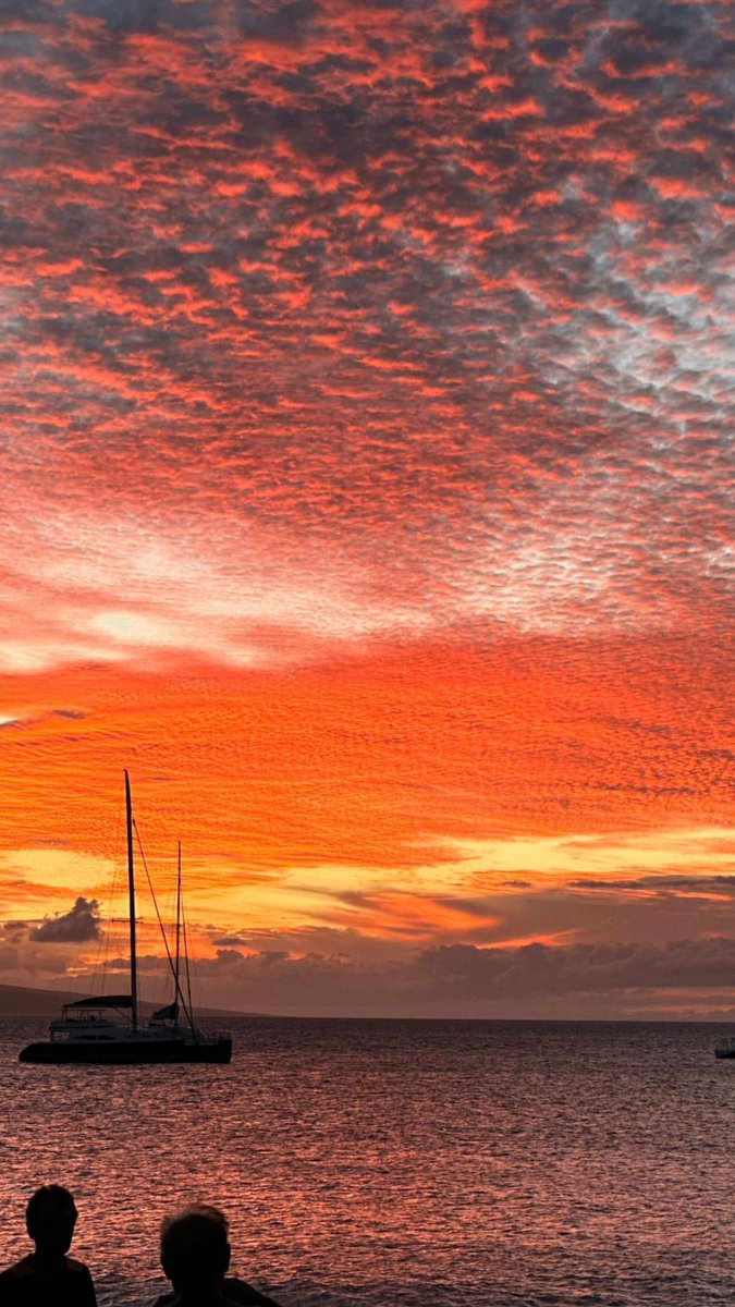 Ellen Danso tweet media