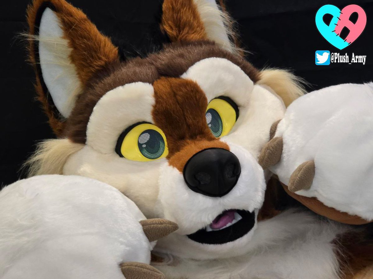 This cutie is still biddable ~ The plush army wants YOU to joins our ranks!

🌐: thedealersden.com/listing/rusty-…
🪡 : <a href="/plush_army/">Plush Army @Furpoc</a>