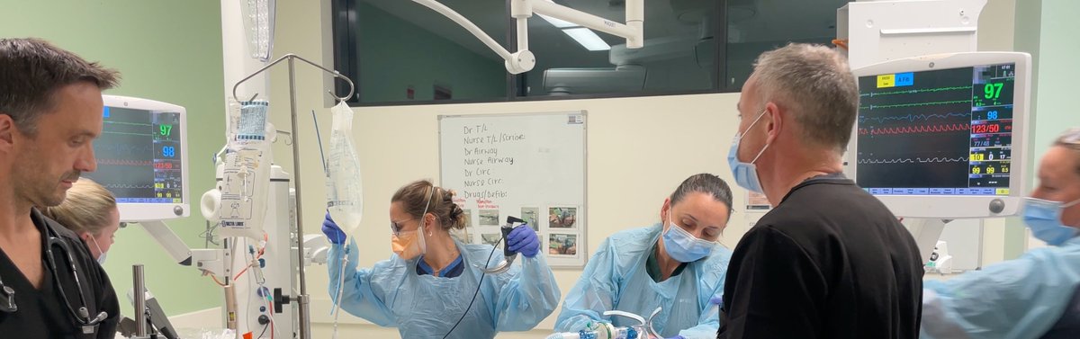 Intubation for hypoxaemia and septic shock
Emergency medicine specialists in black scrubs
One on haemodynamics, one on oxygenation
Art line in, Peripheral norepi, epi 1:100000 ready to push
Ramped, preox via NIV-ST mode on Hamilton, allowing supported ventilation during induction