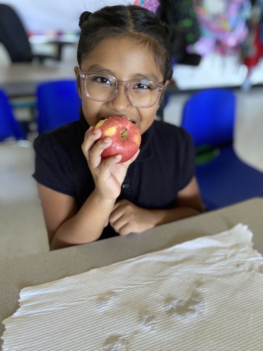 We hAPPLEy tried some delicious apples today! 🍎 <a href="/MrsSlipek_RBPS/">Aria Slipek</a> <a href="/rbpsEAGLES/">Red Bank Primary</a>