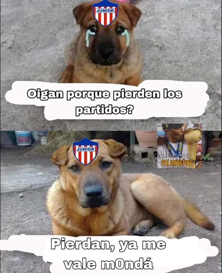 _corpot's tweet photo. Mood en lo que resta del año https://t.co/bCFmlMS8FO