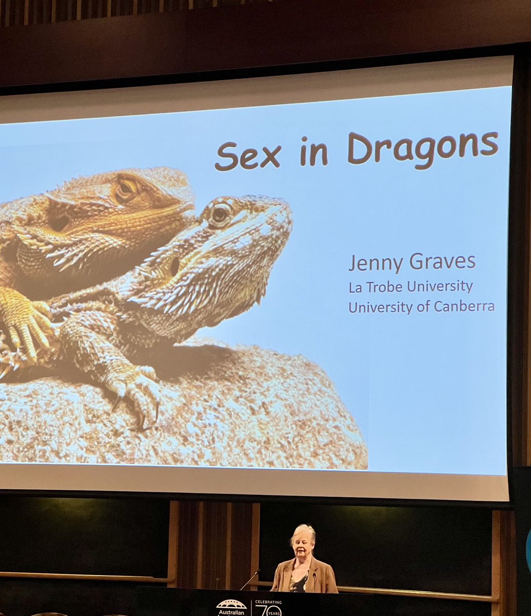 Jenny Graves gets the Ruby Payne-Scott medal from the Australian Academy of Science for her amazing work on genetics of sex determination. Go Jenny!
#ShineDome24