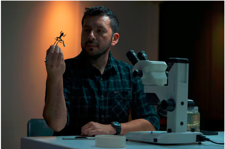 Después de 100 años, mi hermano encontró una rana (Pristimantis ruidus) que se pensaba extinta. Acá una entrevista en NatGeo a él, sus colegas y hasta otros actores que también opinan aunque no tuvieron nada que ver  nationalgeographic.com/animals/articl…
Síganlo en instagram @jcsn_herpetology