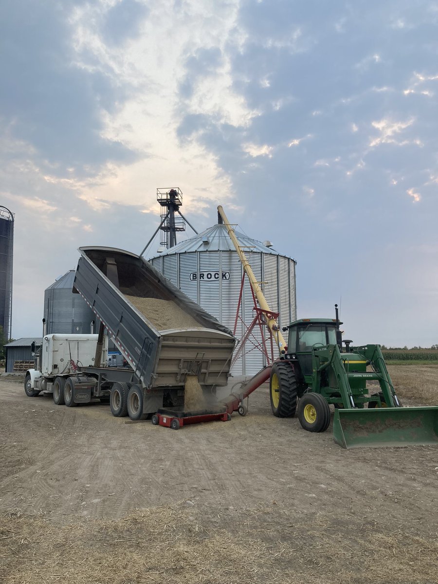 PDevloo's tweet image. First yr with a bin larger than 6000bu, big bins are sweet