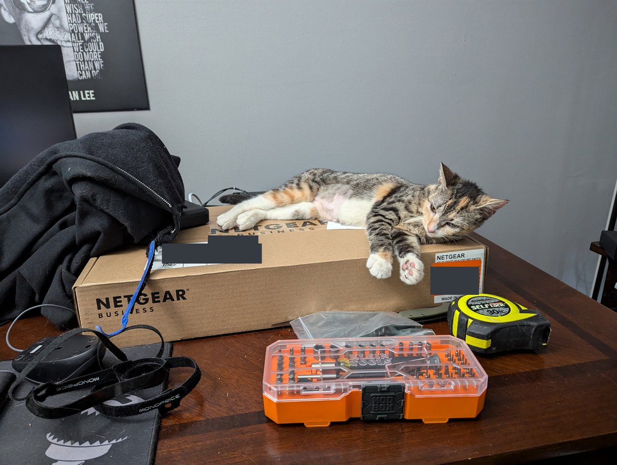 BootOnce's tweet image. Cat approved Netgear Switch. Or at least she approves of the box. LOL . . . new switch install coming soon.

@NETGEAR