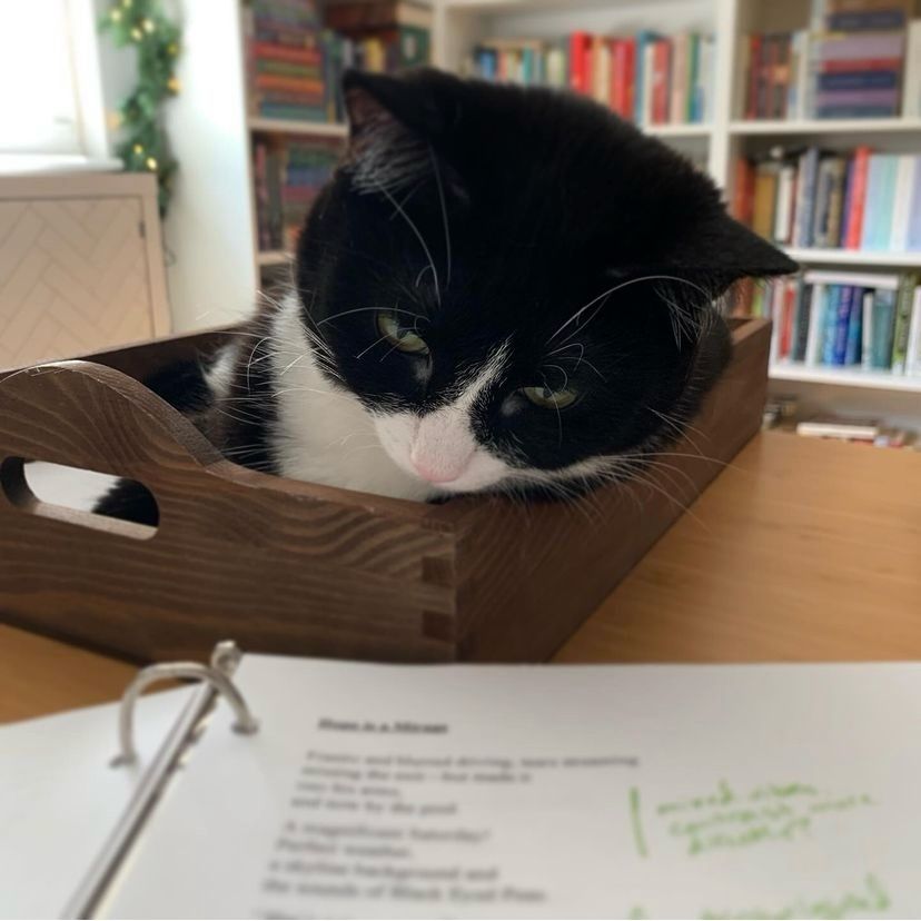 NW Editors Guild (Find us on other socials) tweet media