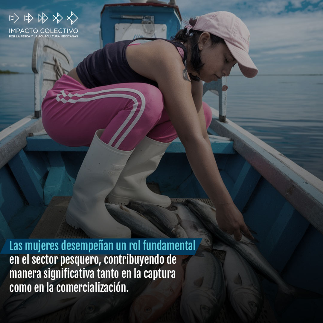 ICPMX1's tweet photo. Las mujeres enfrentan grandes desafíos en el sector pesquero, pero su contribución es esencial para la sostenibilidad y el bienestar de sus comunidades. 🌊
#PescaSostenible #IgualdadDeGénero #MujeresEnLaPesca #Sostenibilidad #ICPMX https://t.co/EM9xoiW9Fl