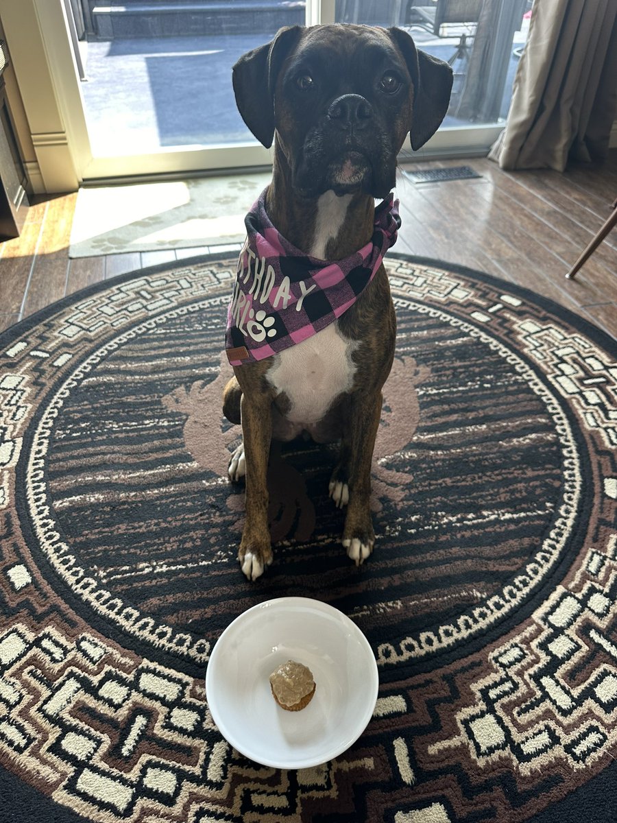 brooks (@brookstheboxer) / Posts / X