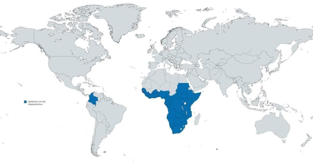 Países donde habitan hipopótamos en estado salvaje