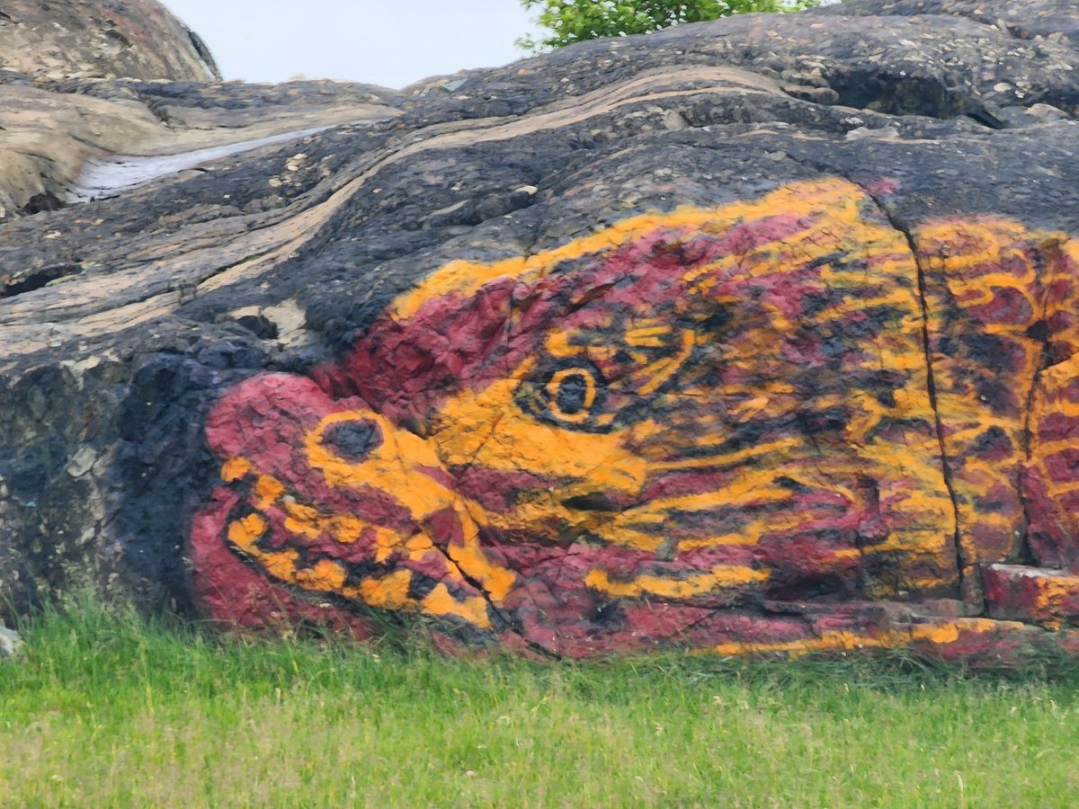 tautop2's tweet photo. @DOM1NaT0r1234 Yeah I did painted a Dragon next to a park https://t.co/Fyv8JLVyJL