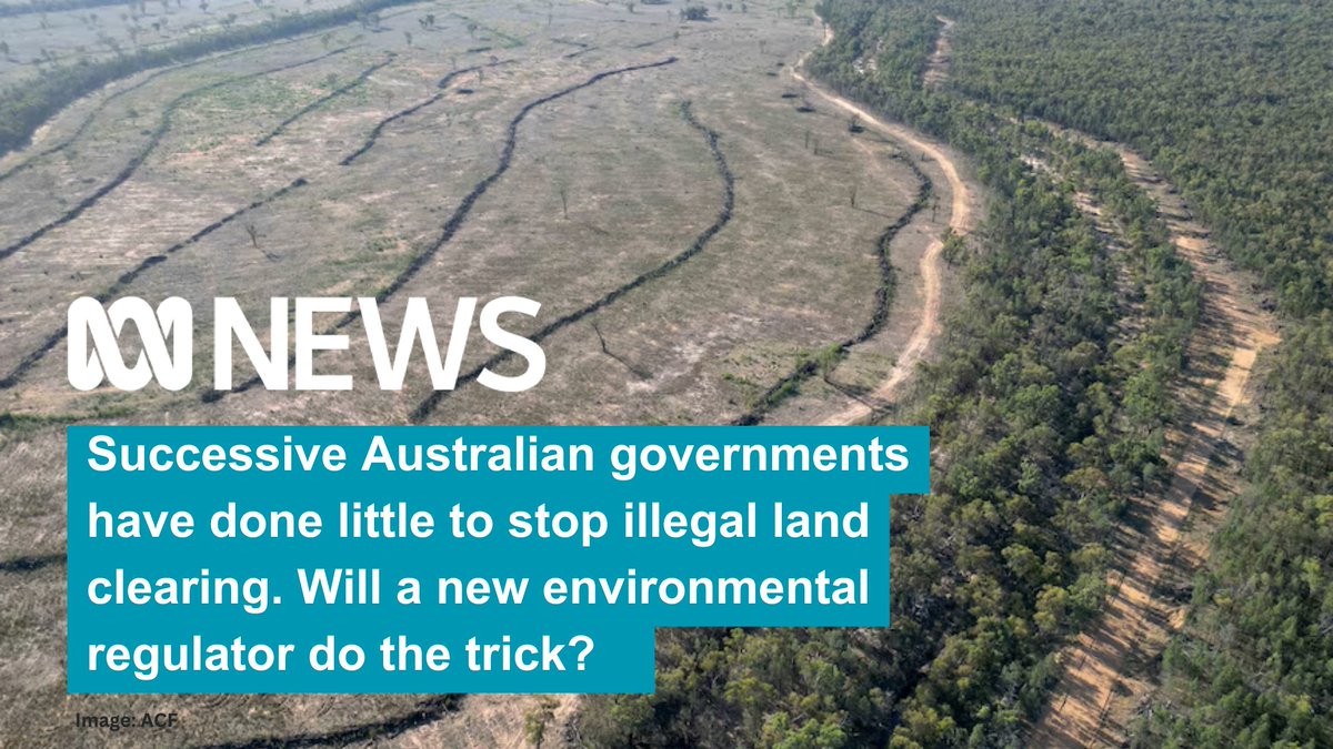 Biodiversity Council (@biodivcouncil) on Twitter photo We need an elected Australian Government to grow a spine and make the necessary changes to provide our environment with a reasonable level of protection.
abc.net.au/news/2024-09-1β¦ We need an elected Australian Government to grow a spine and make the necessary changes to provide our environment with a reasonable level of protection.
abc.net.au/news/2024-09-1β¦