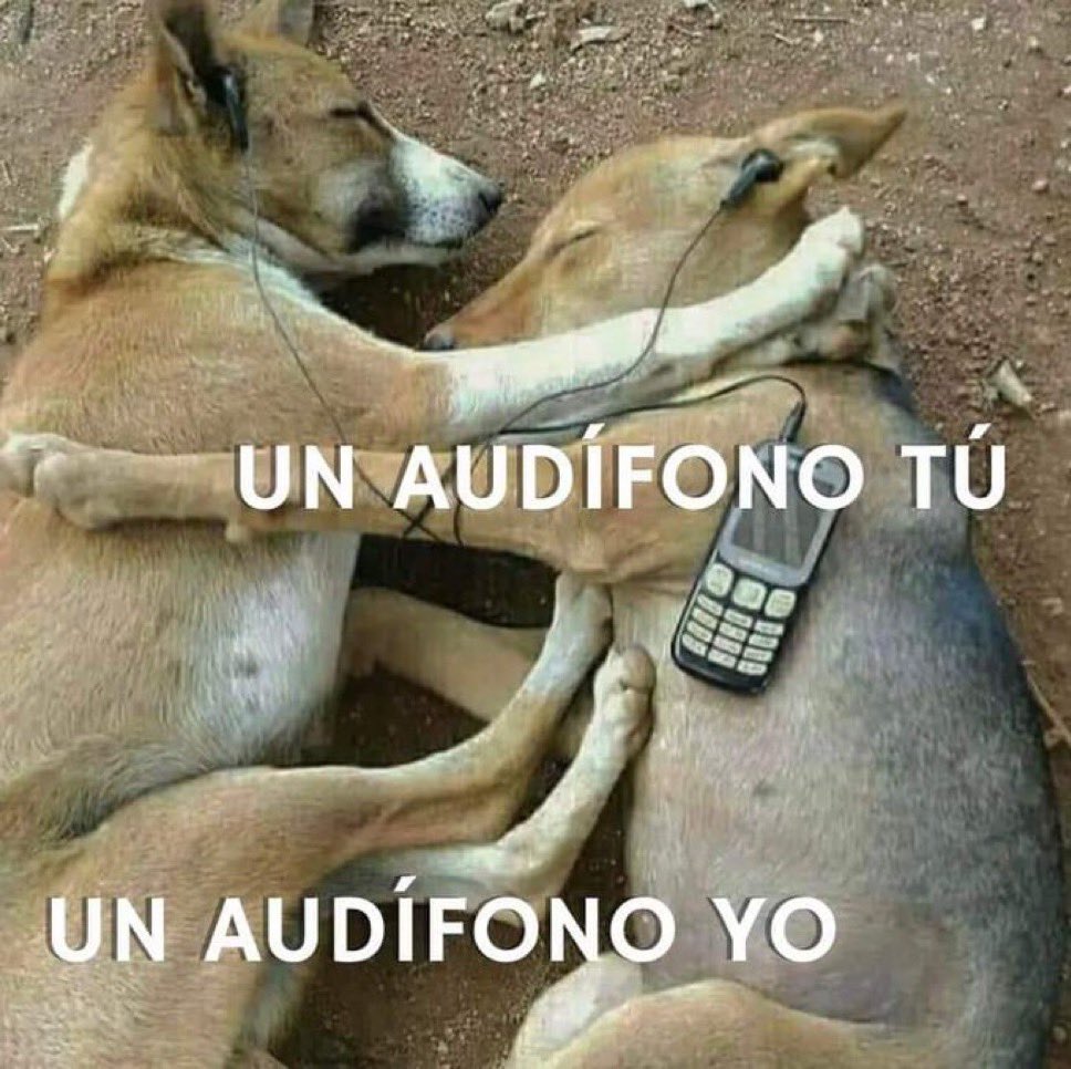 Soñé contigo ✨ tweet media