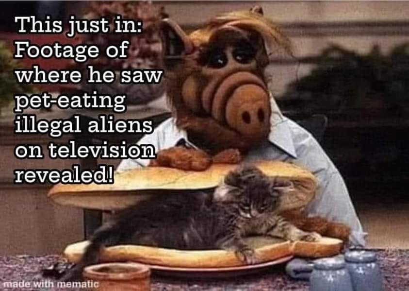 Lola15363615's tweet image. "They're eating The dogs... They're eating The cats ..."
He did see it on TV ! 😂
#Debate2024 #TrumpIsWeird 😵‍💫