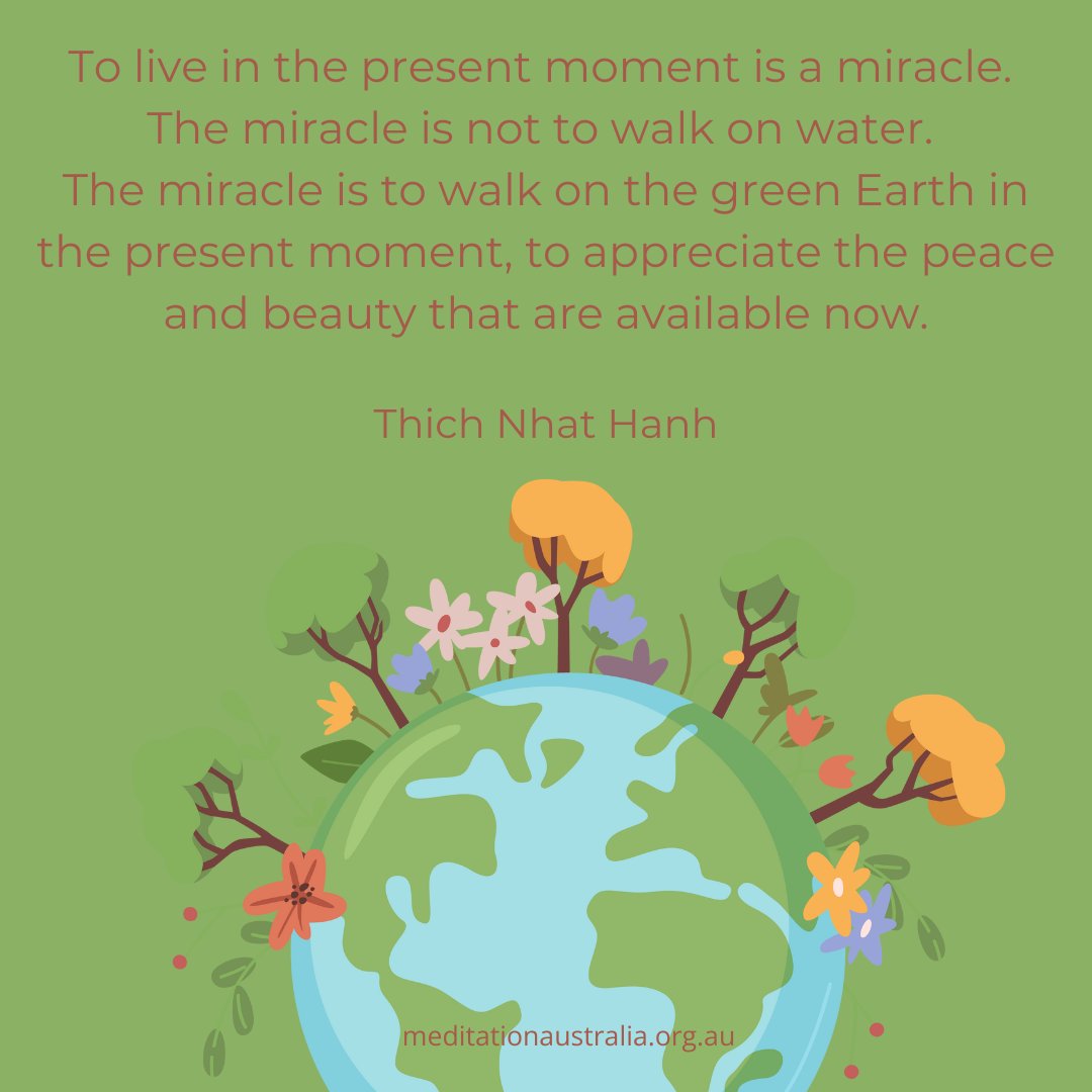 Meditation Australia tweet media