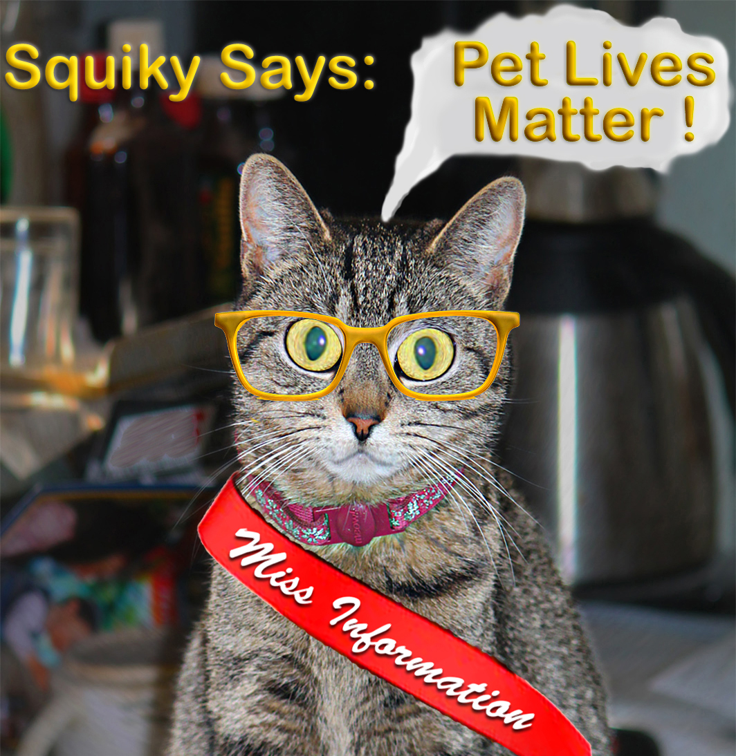 Ron11366's tweet image. Our culture and our values are under attack !
#VotesMatter