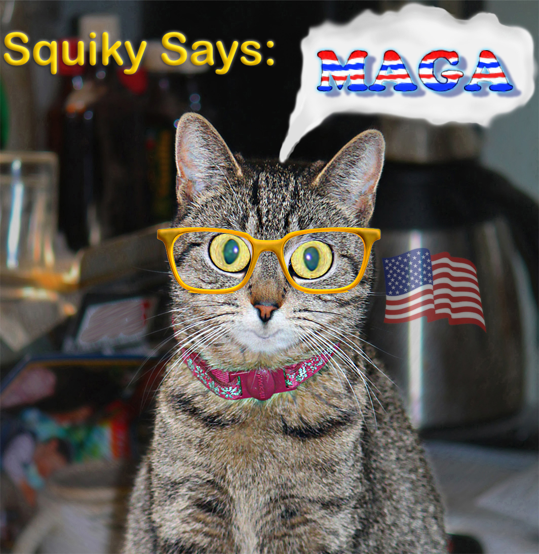 Ron11366's tweet image. Our culture and our values are under attack !
#VotesMatter