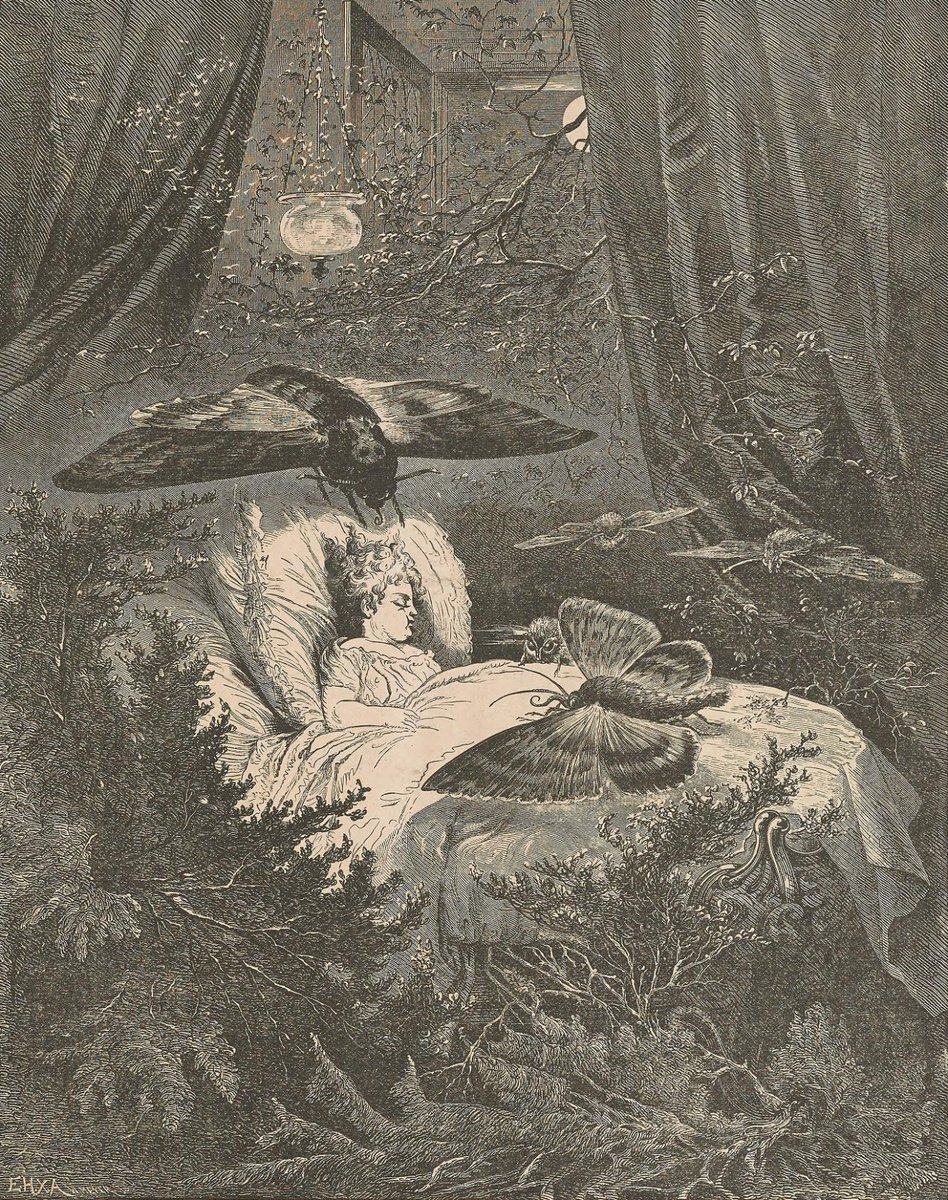 WilhelmGustloff's tweet photo. A Child's Dream
Illustration from The ladies’ Floral Cabinet (v.3: no.33) 
1874 https://t.co/6ZLHdYkW9S