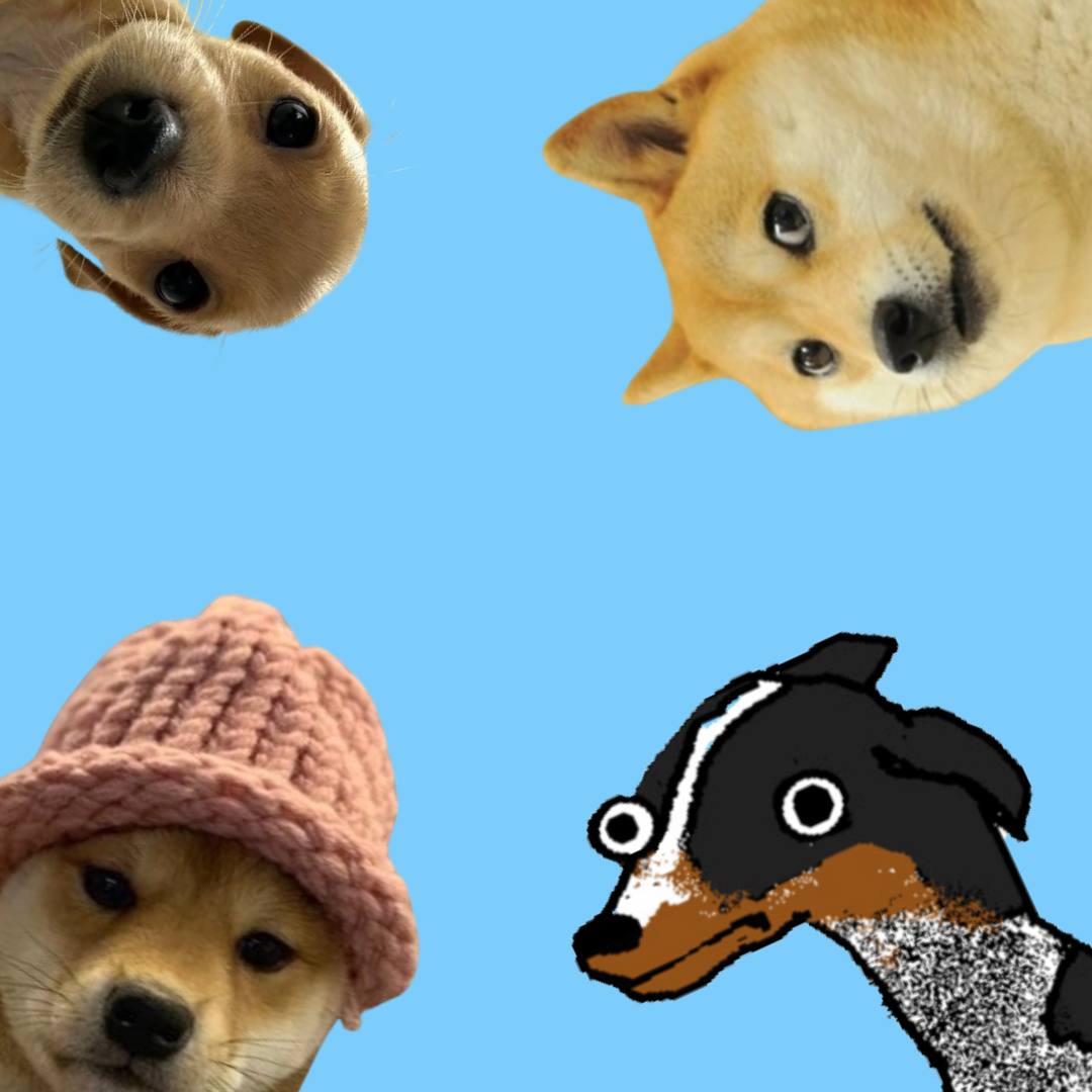 SimpleDogSOL's tweet photo. Hey You Dogs!
Thanks For The Invite, Excited To Be Here, Woof
$sDog #SimpleDog
CA :cUwJAzXFqv6fCPEdiM1eDKBJMZip6SP6pFBVdHUsDog
Tg: https://t.co/5ZGKG8MS5m https://t.co/ICK61cwrRb