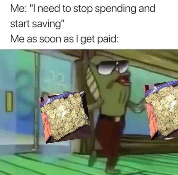 Stoner Barbie (@stonersvilla) on Twitter photo 