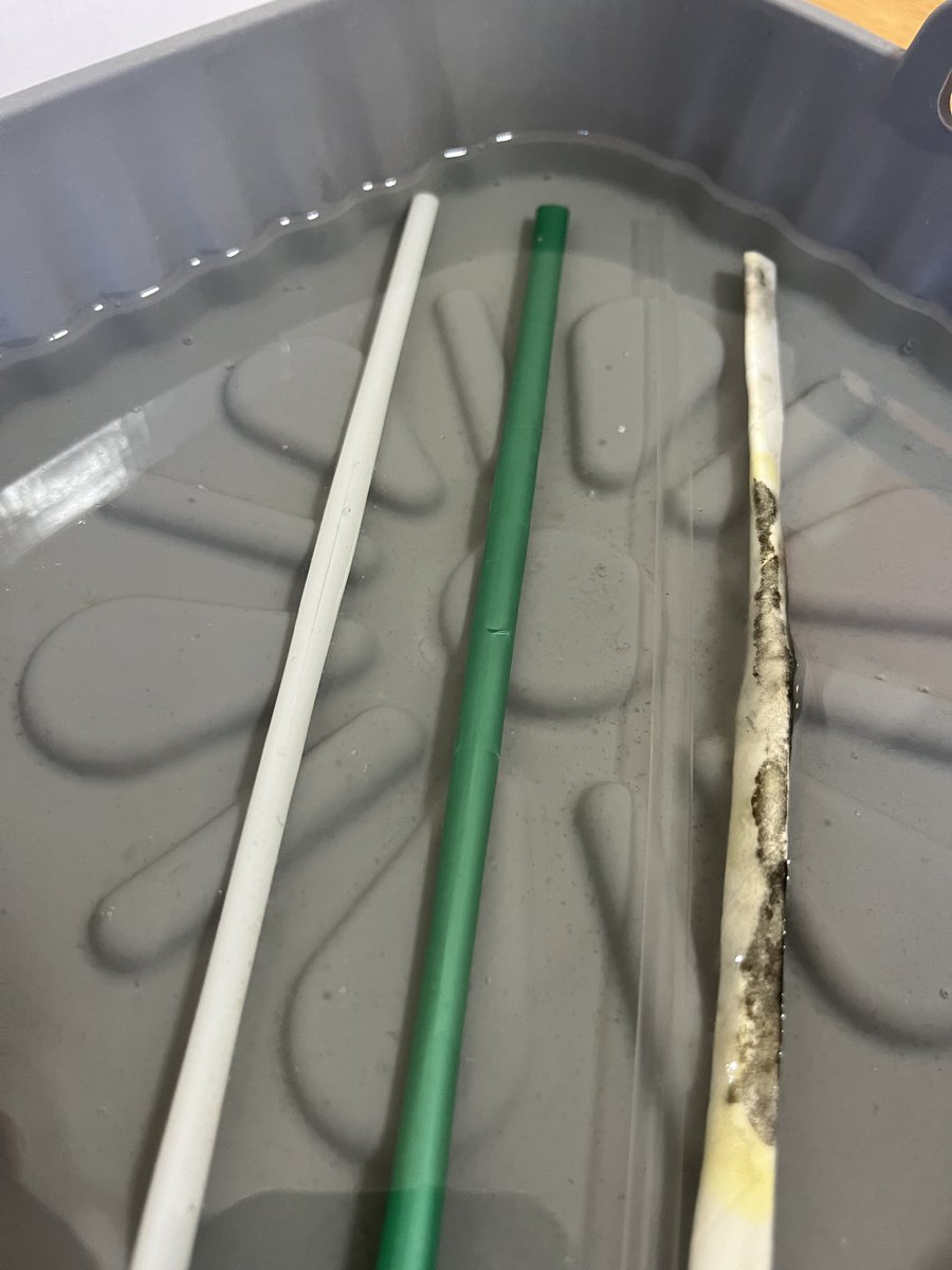 DAY 38: Can you see it?! 

Can you see the crack along the OMAO straw?

What's going on with the other straws?

Paper straw - being invaded by mold/other growth.

Middle straws - virtually unchanged. 

This is getting exciting!

#OMAOchallenge