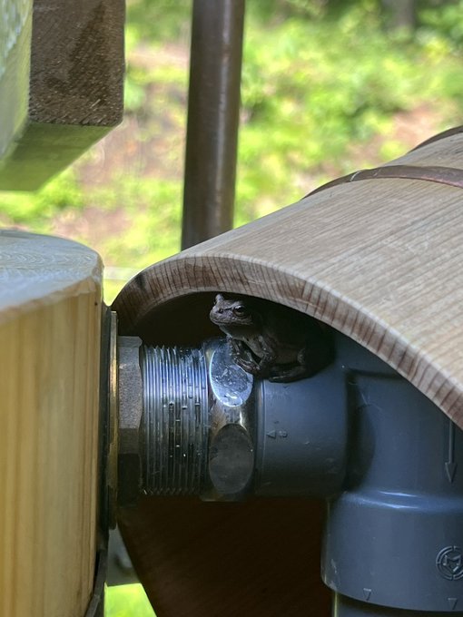 自然いっぱいのなかで生き物たちをたくさん発見できて楽しいねえ〜👶✨ https://t.co/NBJ8eOhTpa<a href="/tag/%E3%81%BF%E3%81%AA%E3%81%A8%E3%81%88%E3%81%AB%E3%81%A3%E3%81%8D"class="tags"><span>#みなとえにっき</span></a>