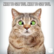 DFK022024's tweet image. Càng trưởng thành bạn càng nhận ra tranh luận đúng sai, hơn thua cũng không còn quan trọng nữa, quan trọng muốn cả đời bình yên.