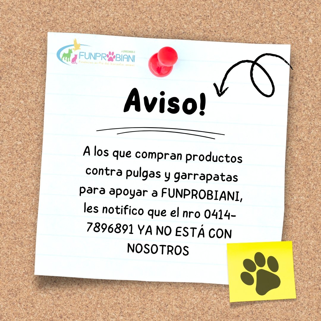 Seguimos con la venta de comprimidos contra pulgas y garrapatas en perros pero no por este número de teléfono, las ventas que hagan allí no nos benefician. Gracias por difundir #Maturin