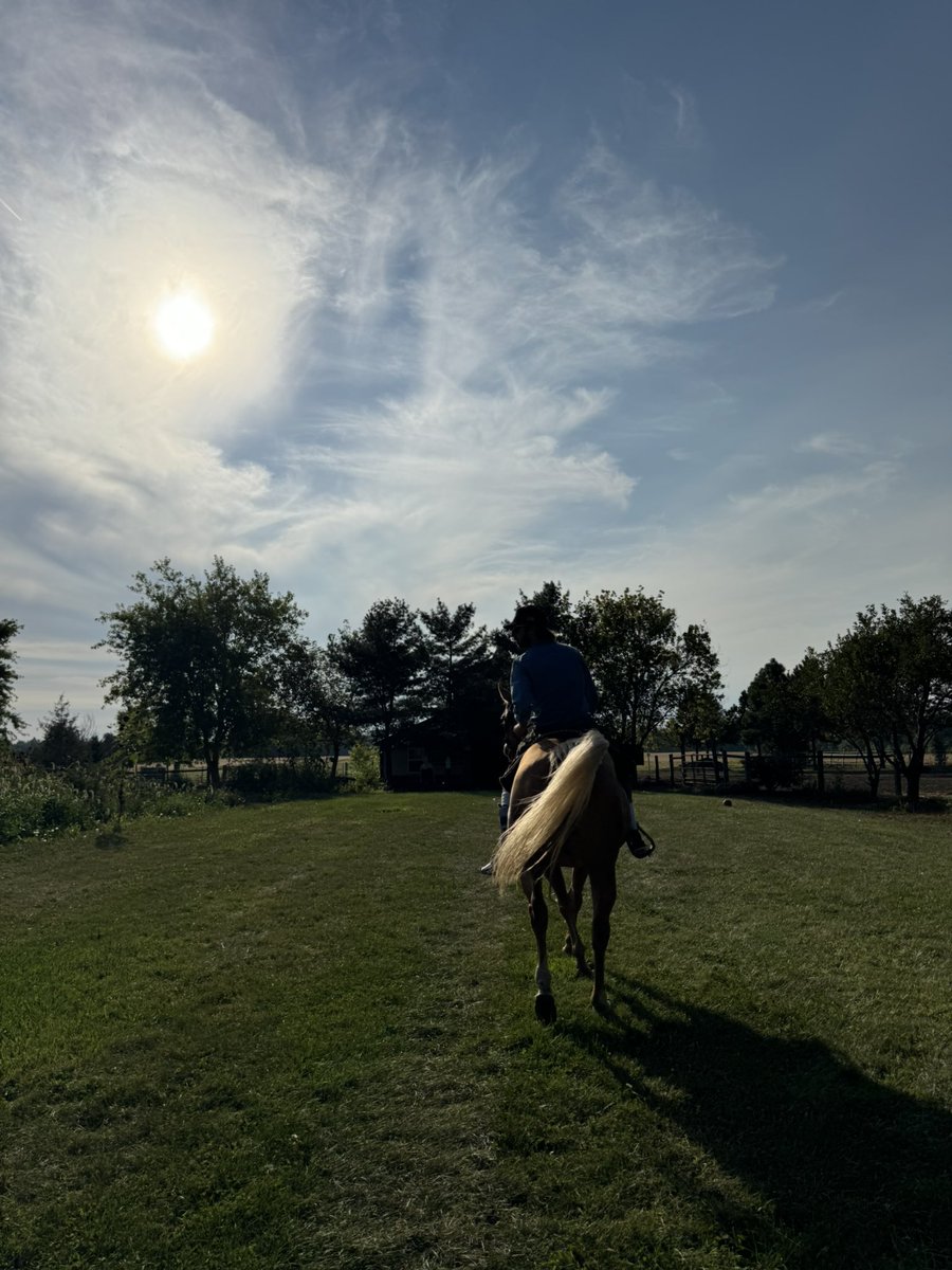 brat summer to cowboy fall