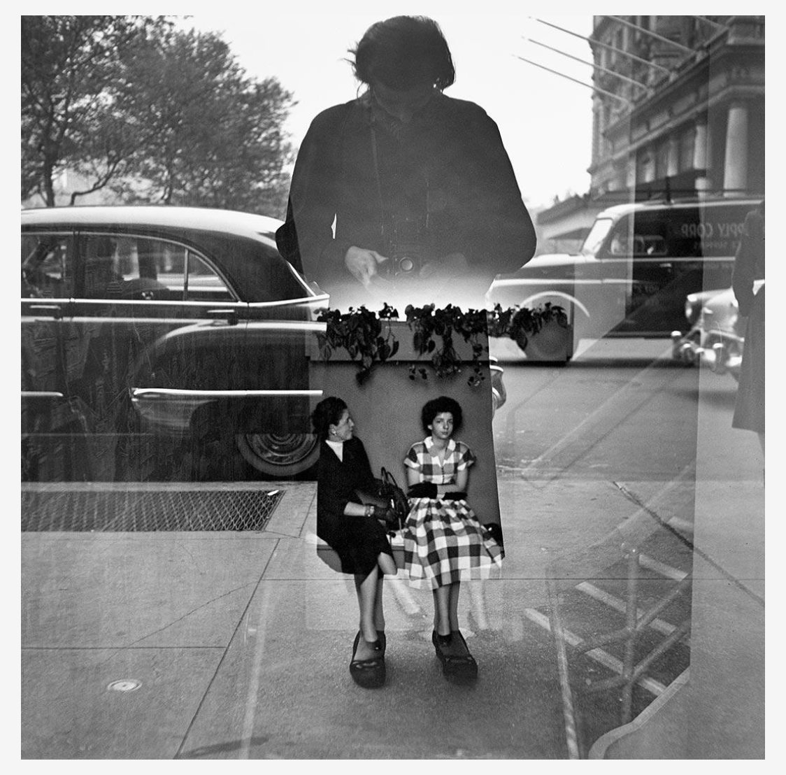 Alina Stefanescu tweet media