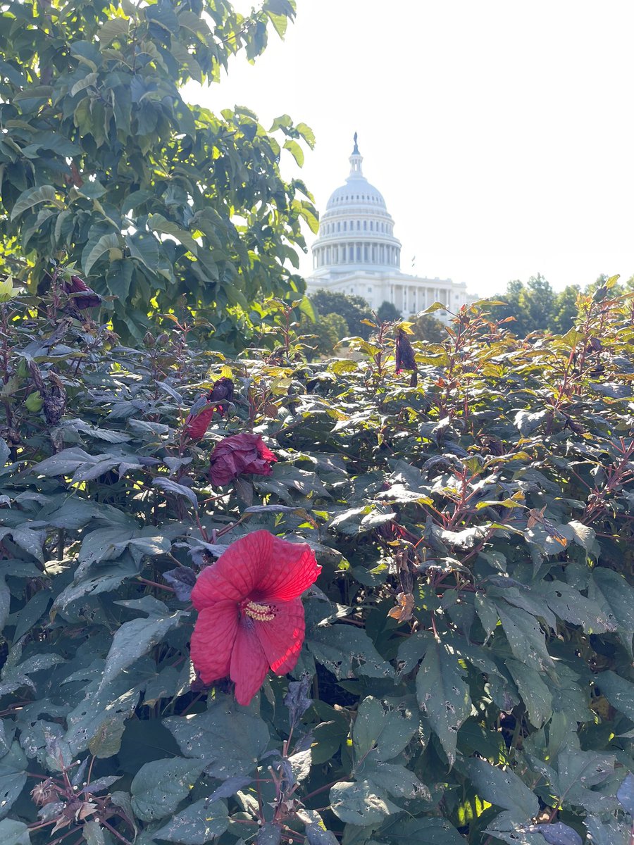 Our sincere thanks to Congressman Steve Scalise for meeting with us to discuss current mental health efforts in education to attract and retain quality educators and support students struggling with these issues through peer-to-peer communication programs.