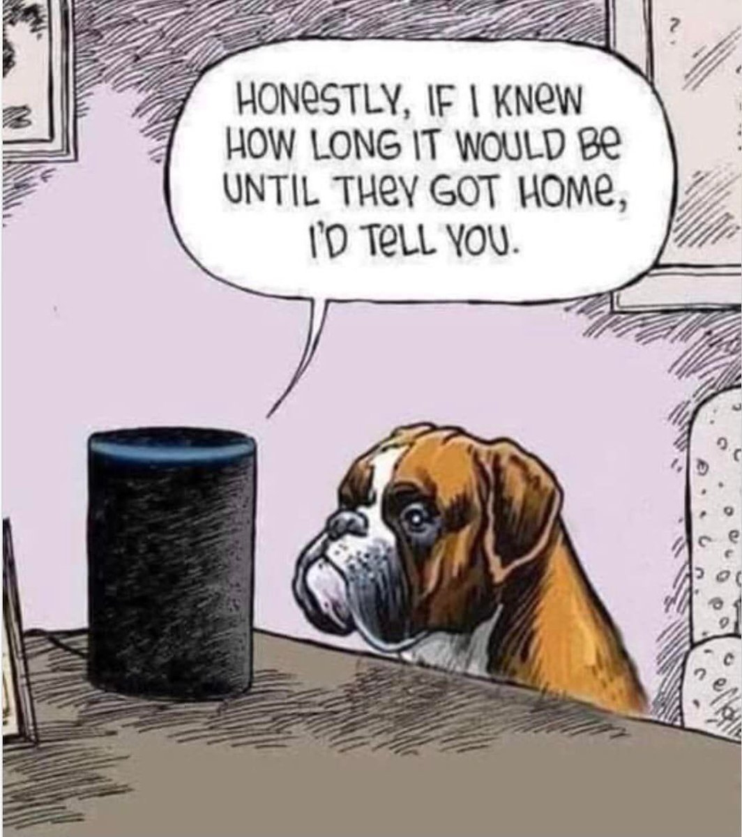 collectibulldog's tweet image. 68 #reposts of our #PinnedTweet that’s amazing let’s try for 100 please you bunch of #stars 🤩